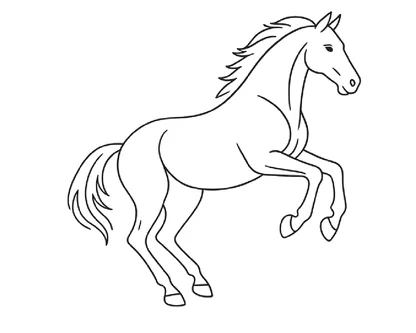 desenhos de cavalos para colorir e imprimir para imprimir e colorir - imagem 10